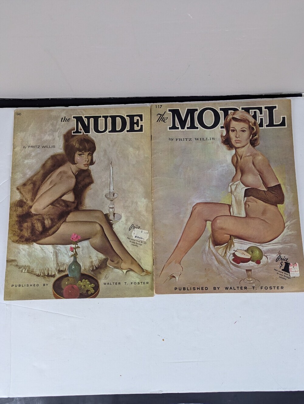 The NUDE and The Model by Fritz Willis How to Draw a Portrait Large Book